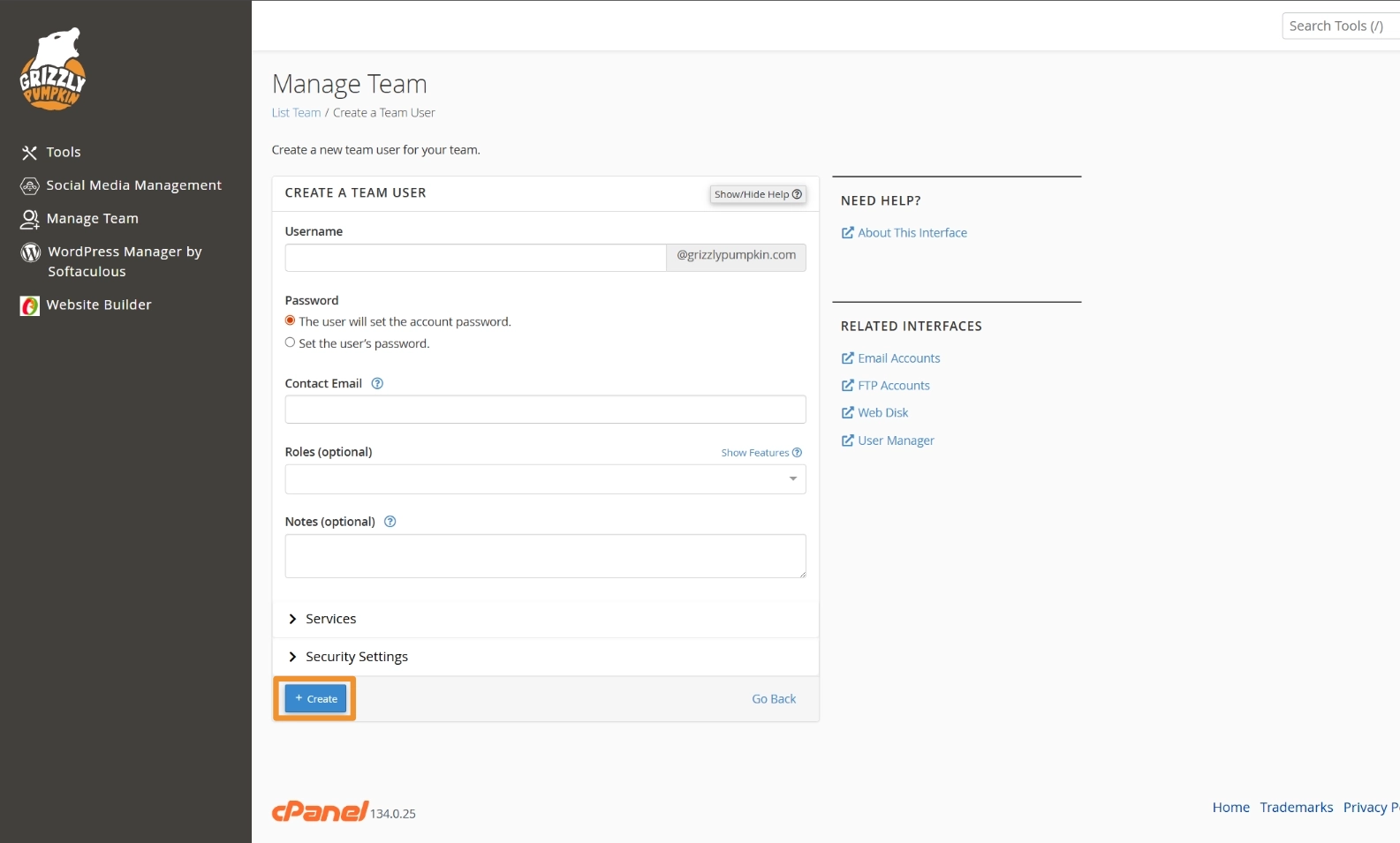 The create form for a team user.